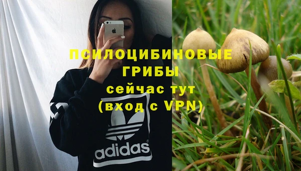 тгк Алексеевка