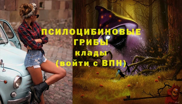герыч Алзамай