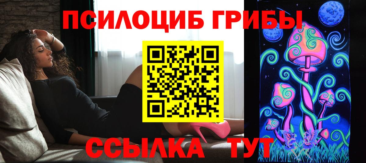 Псилоцибиновые грибы прущие грибы  Вход с VPN  Красноуфимск 